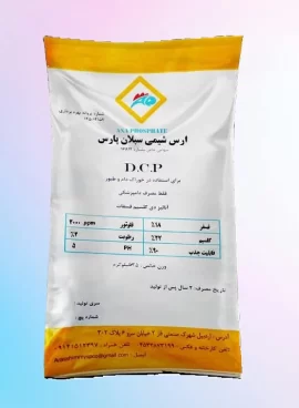 1000052832 - Copy (2)